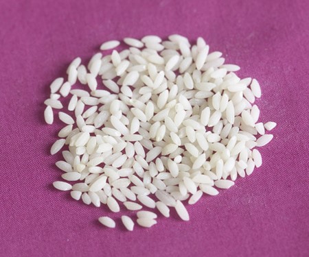 rice11